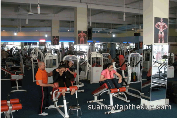 Sửa chữa phòng tập thể hình ở Tây Hồ